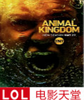 ҰF